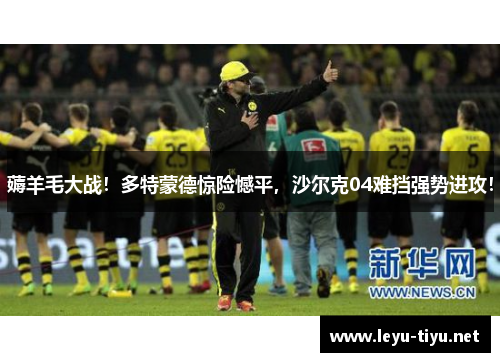 薅羊毛大战！多特蒙德惊险憾平，沙尔克04难挡强势进攻！